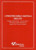 L'INESTRICABILE GIUNGLA DELL'ICI