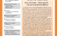 Confedilizia notizie – Giugno 2007