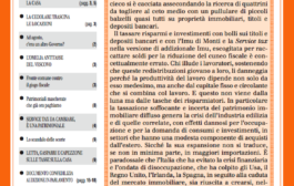 Confedilizia notizie – Novembre 2013