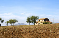 Prelazione agraria e diritto alla provvigione del mediatore