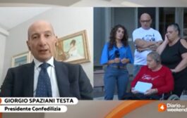 TG4 – 19.9.2026 – Diario del giorno – Ore 16